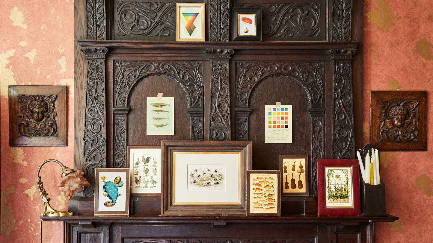 Indoor Plants - Greeting Card