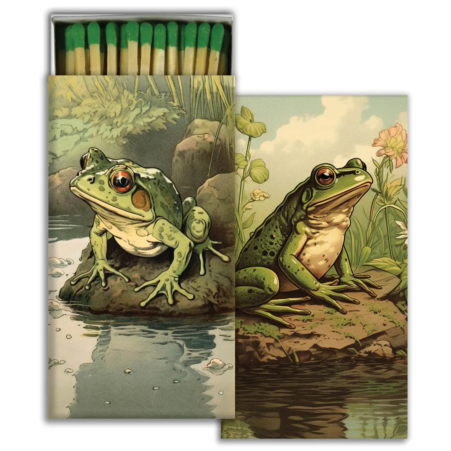 Match Box - Vibrant Toads