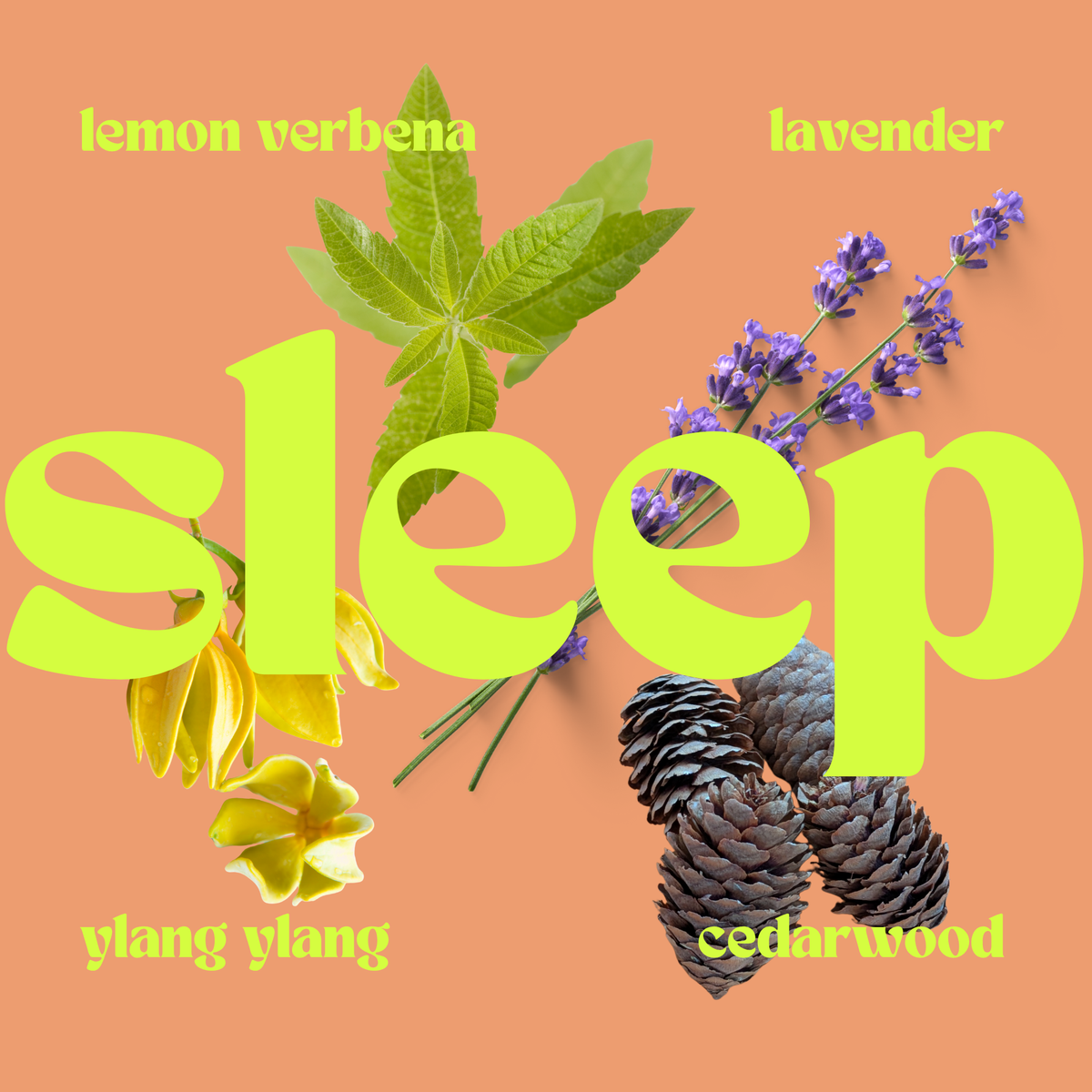 SLEEP: The Relaxation Candle