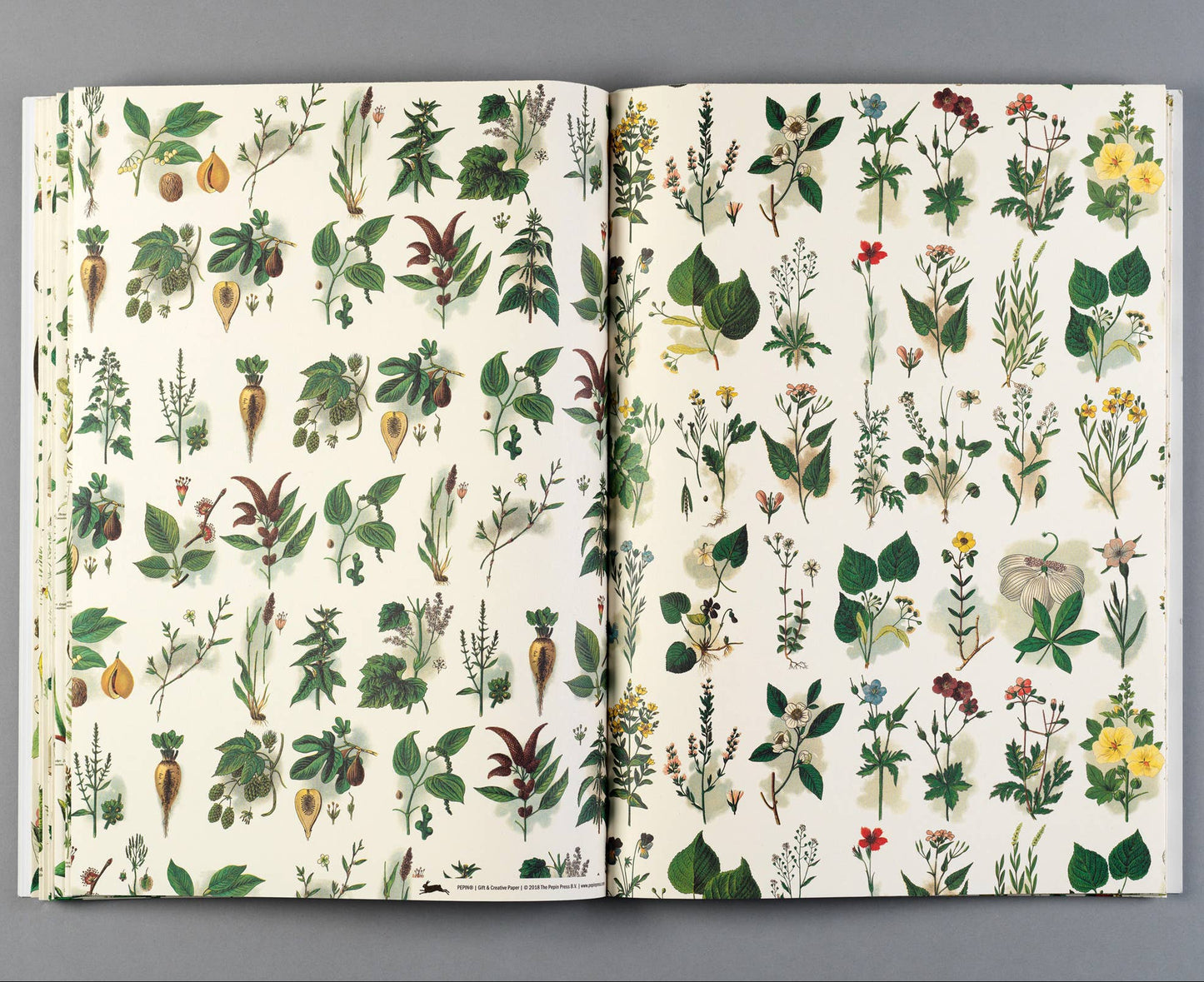 Flora Gift & Creative Paper Book Vol. 85