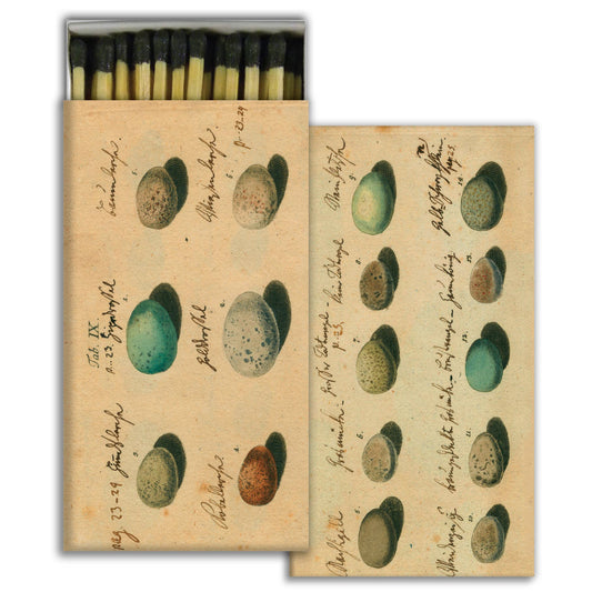 Match Box - Eggs