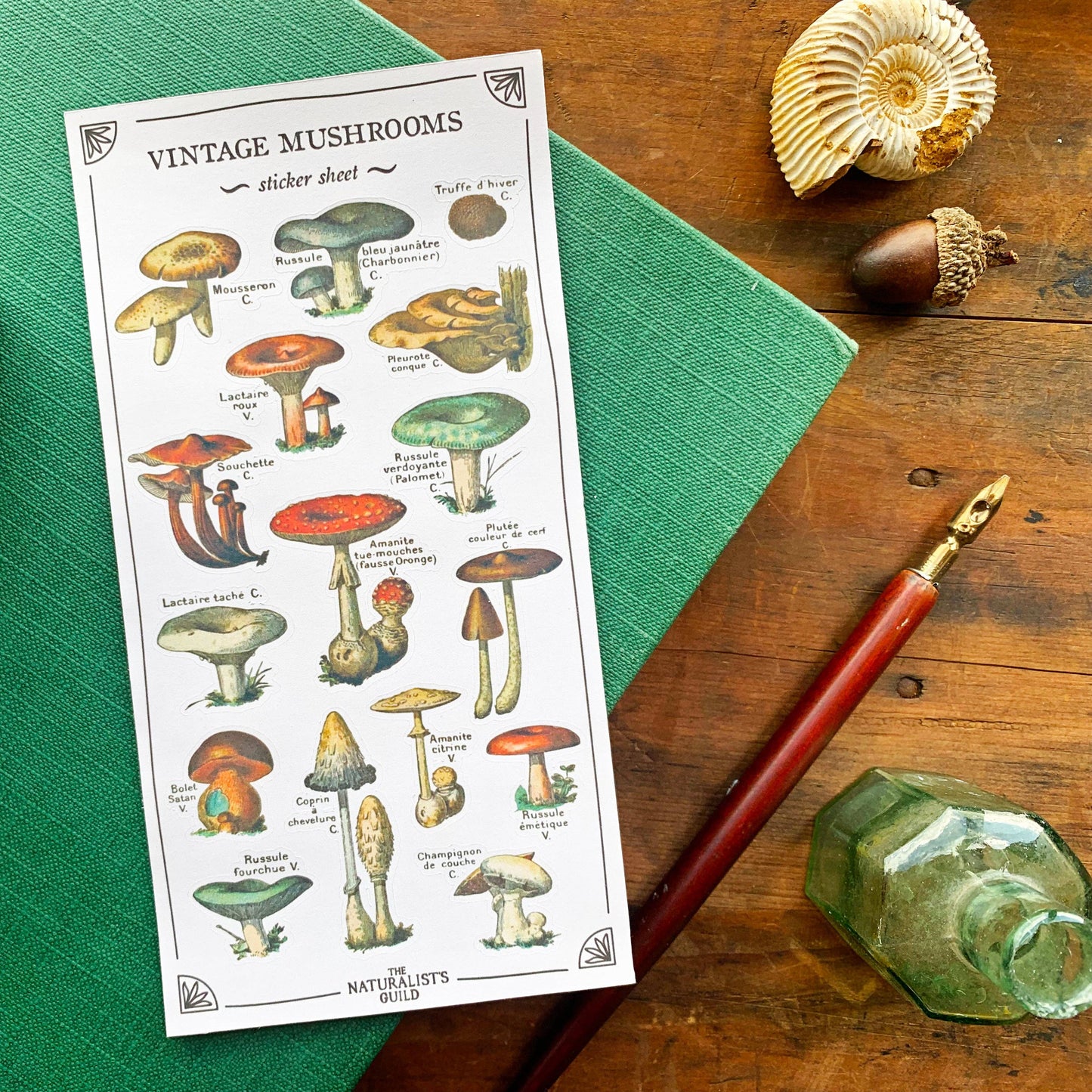 Vintage Mushroom Sticker Sheet