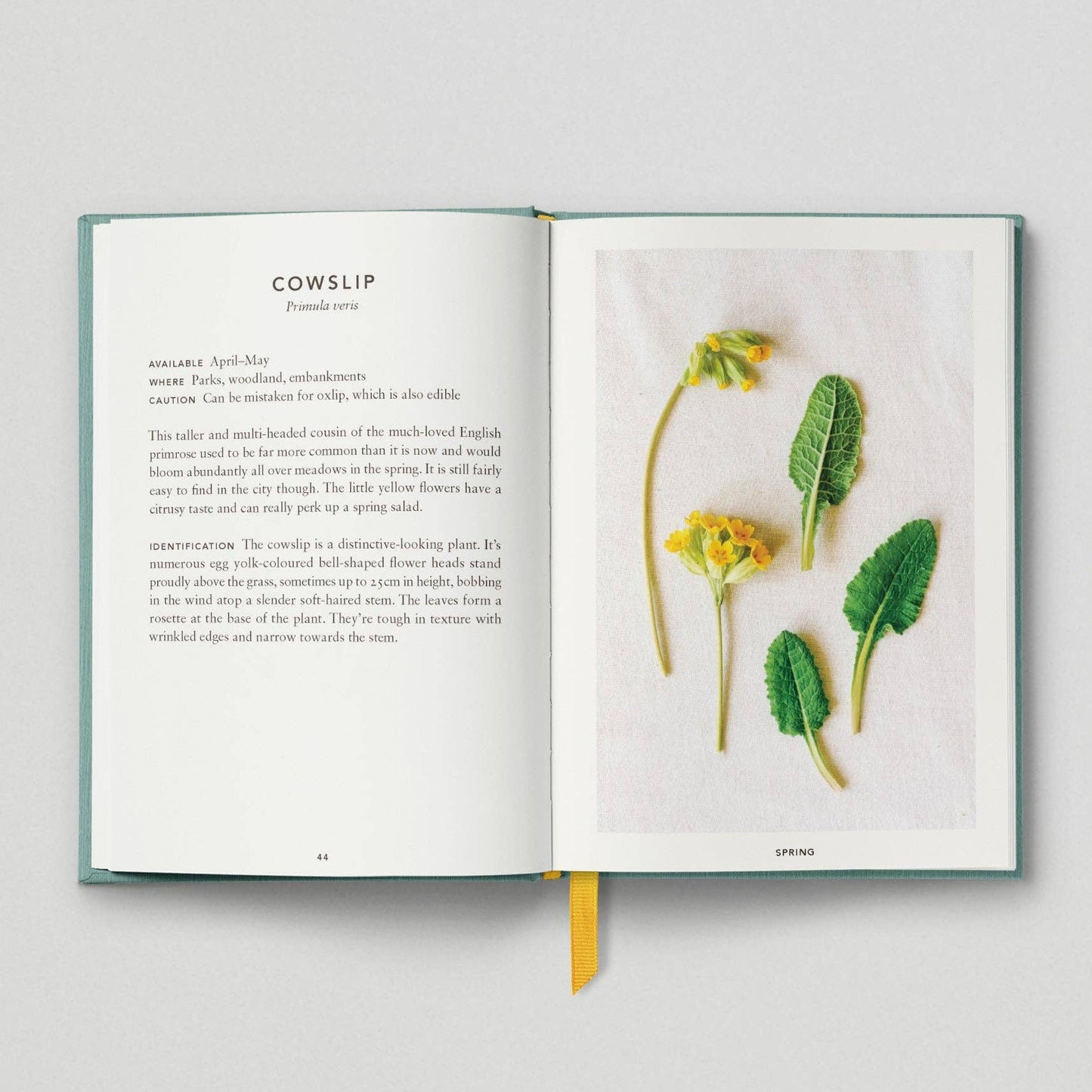 The Urban Forager: Find and Cook Wild Food in the City