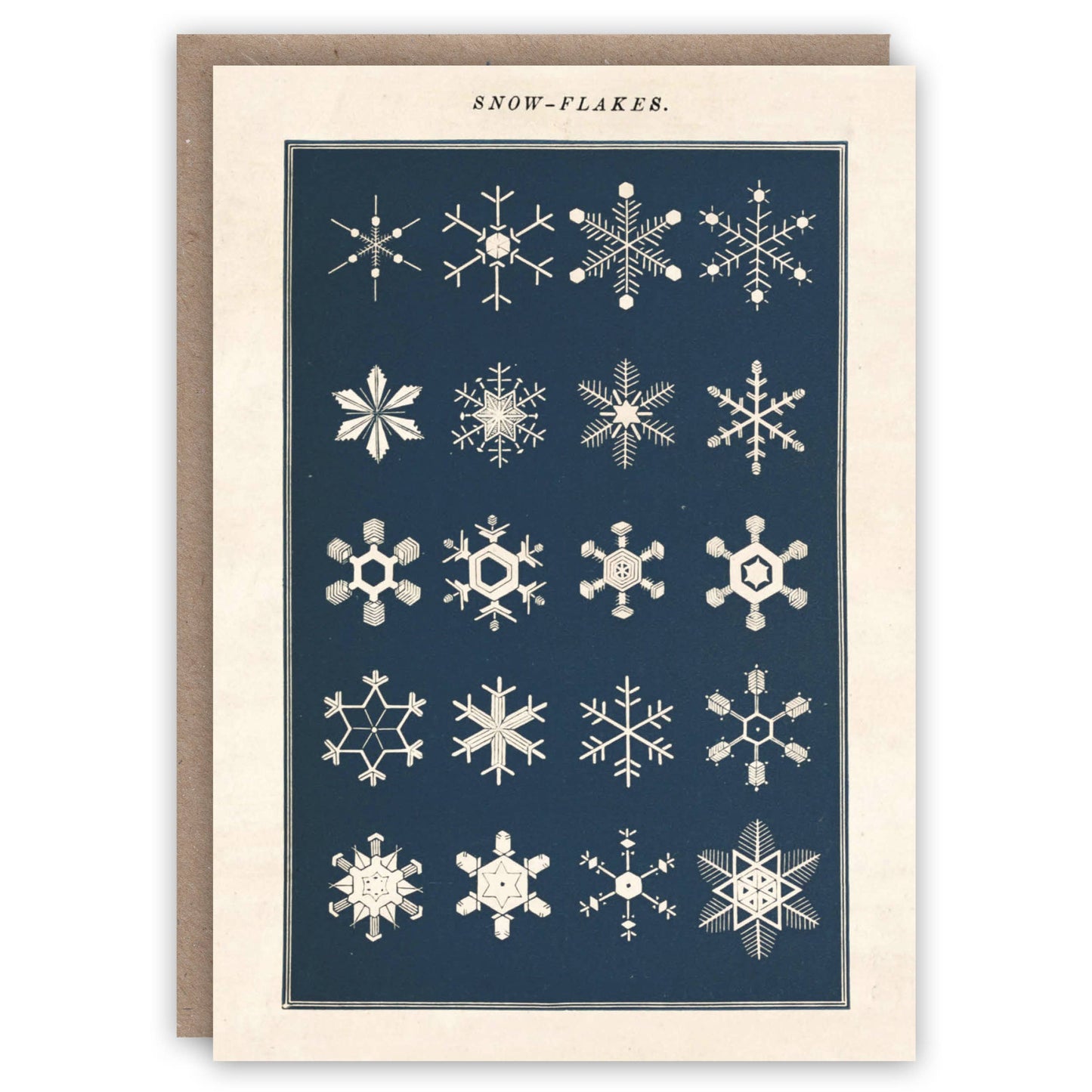 Snowflakes - Greeting Card