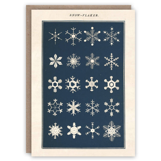 Snowflakes - Greeting Card