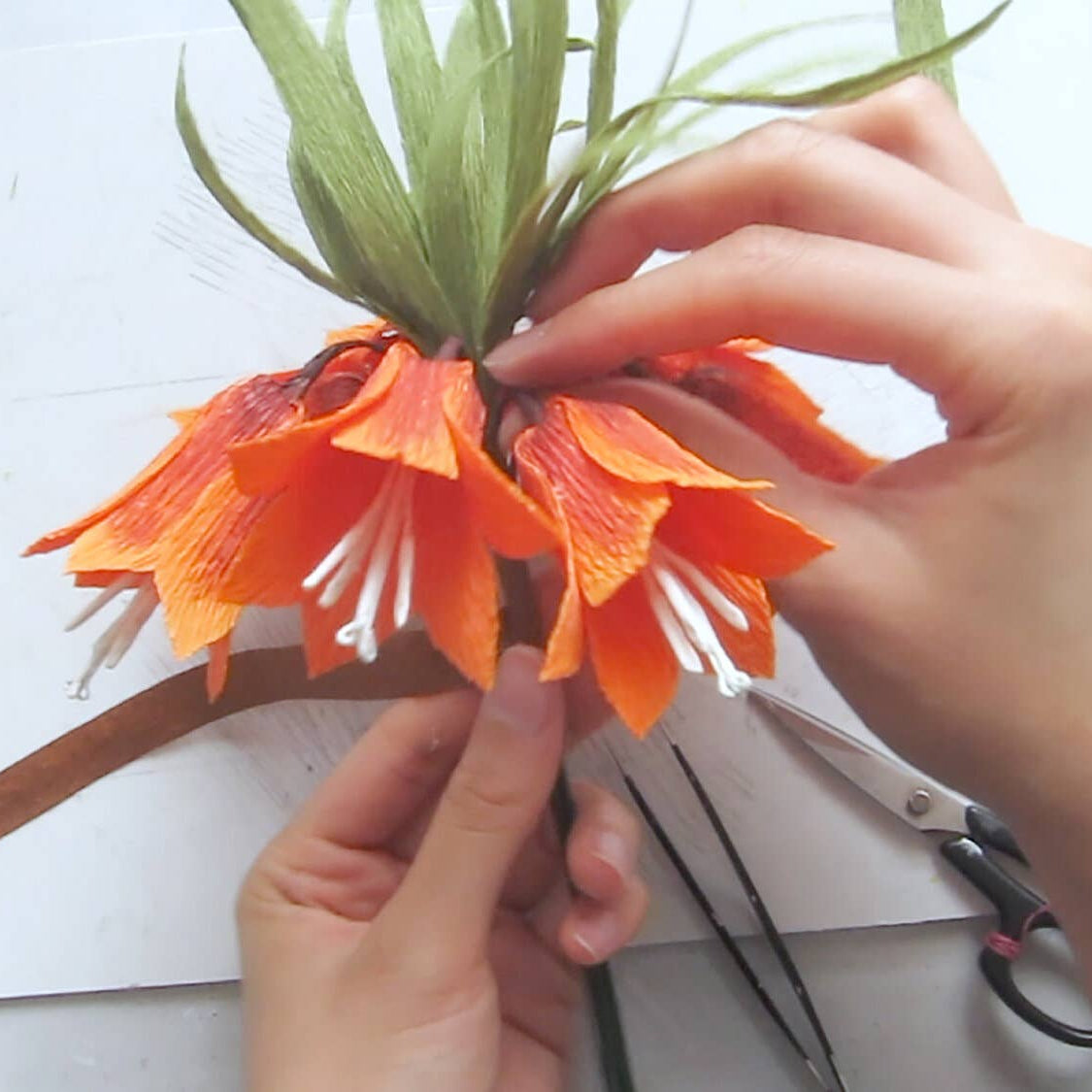 Make Your Own Crepe Paper Imperial Crown Flower Stem