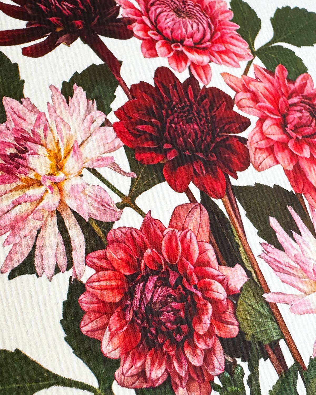 Garden Dahlias Greeting Card
