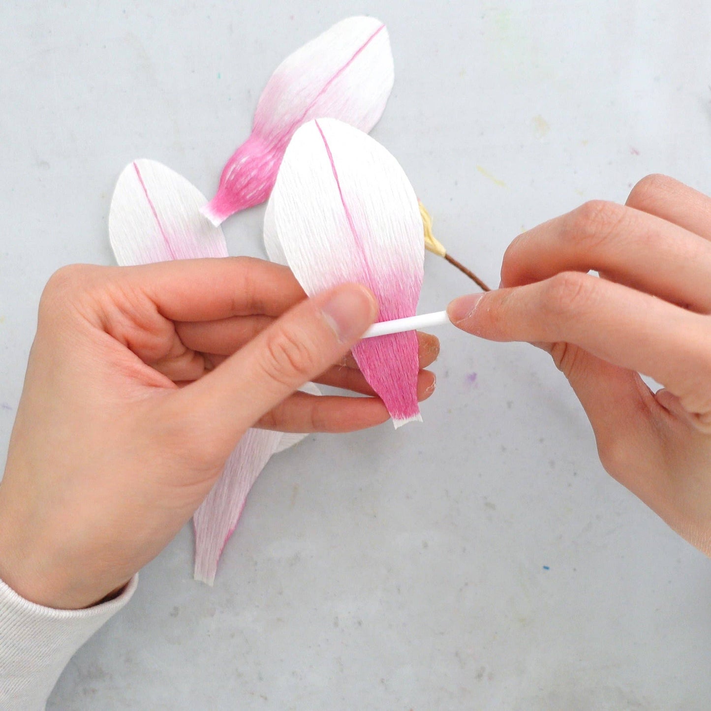 Make Your Own Crepe Paper Magnolia