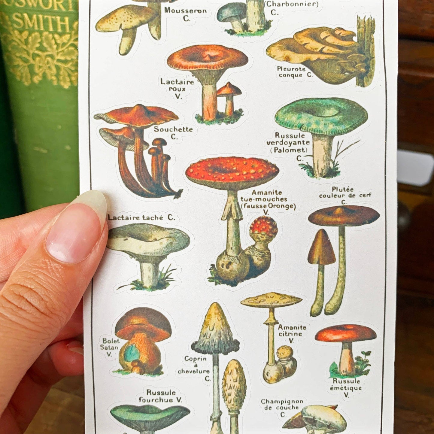 Vintage Mushroom Sticker Sheet