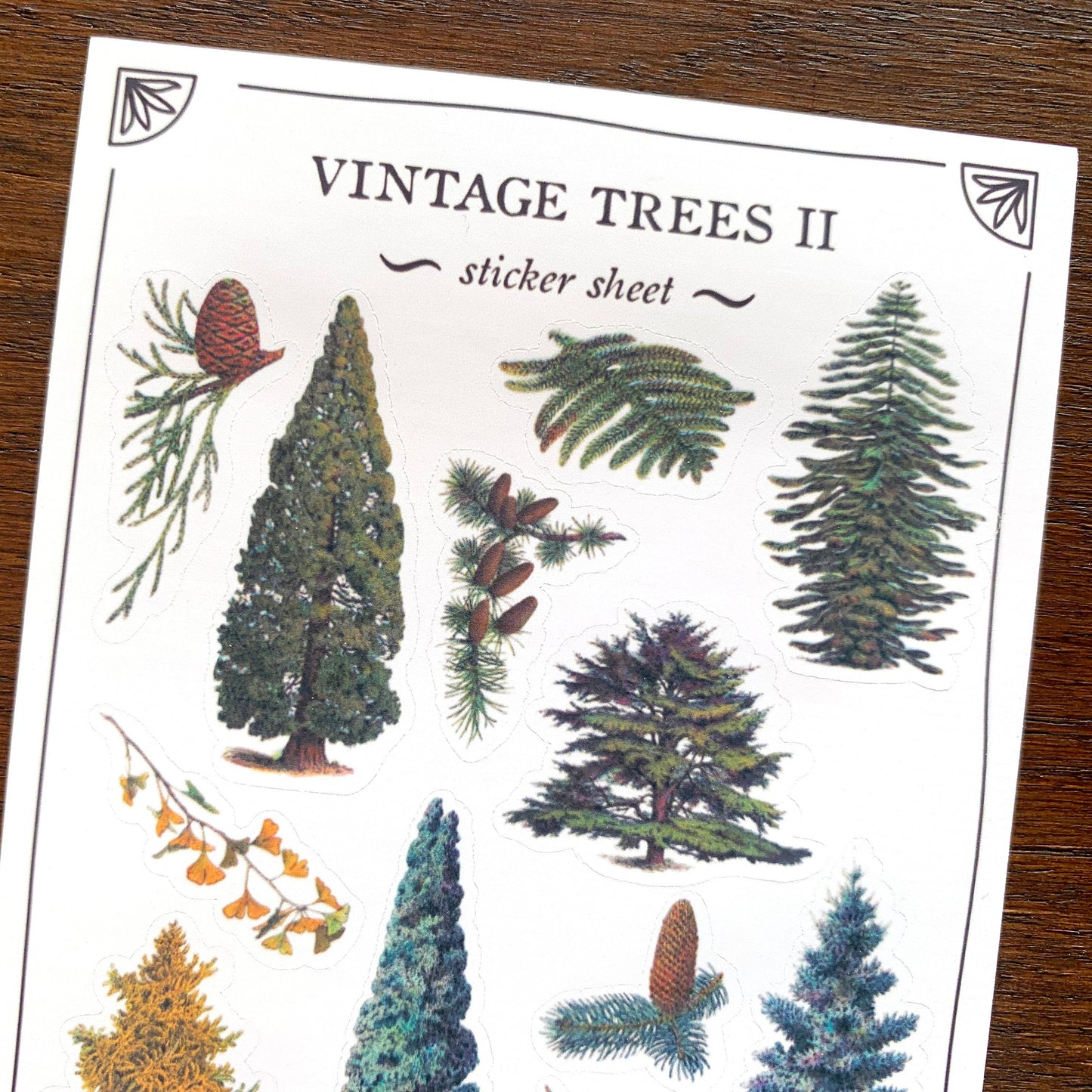 Vintage Trees II Sticker Sheet