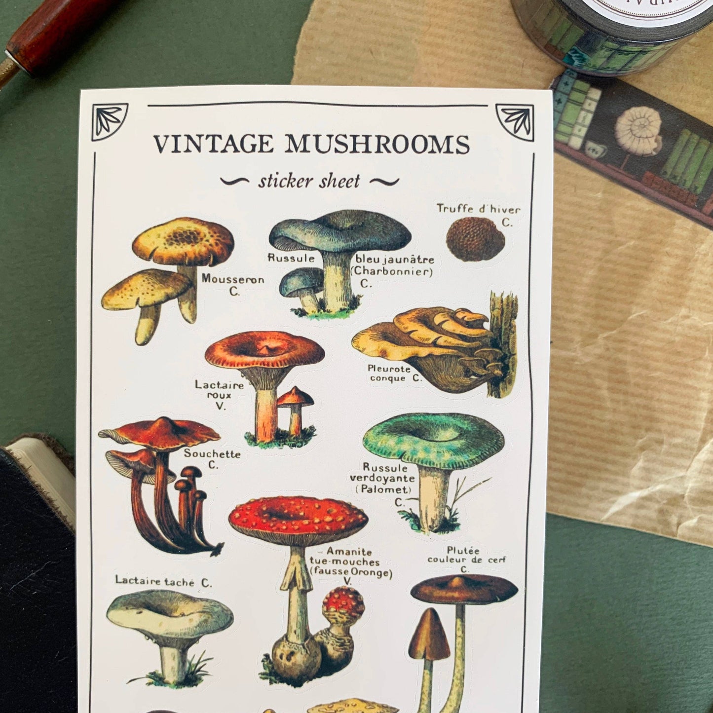 Vintage Mushroom Sticker Sheet