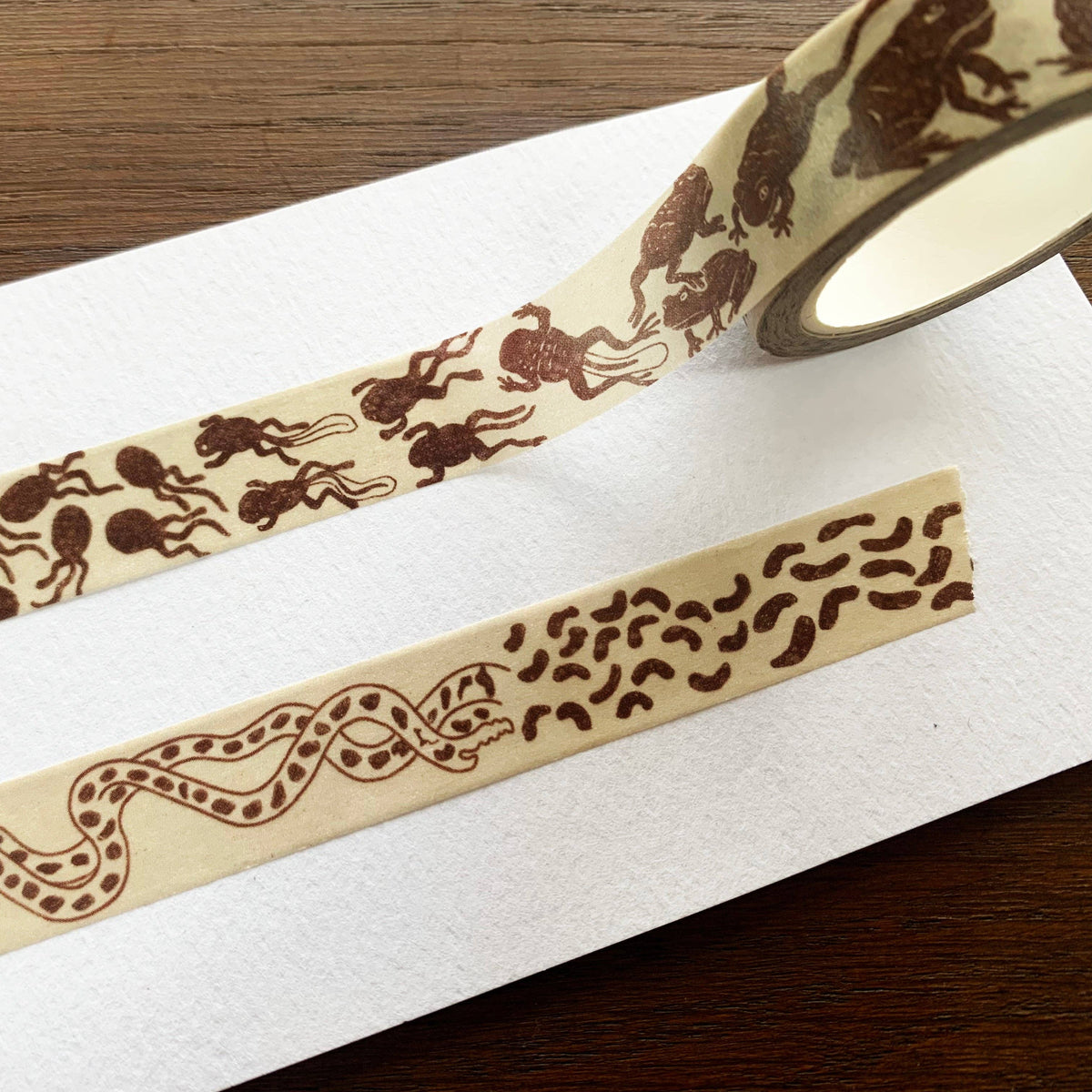 Toad Life Cycle Washi Tape