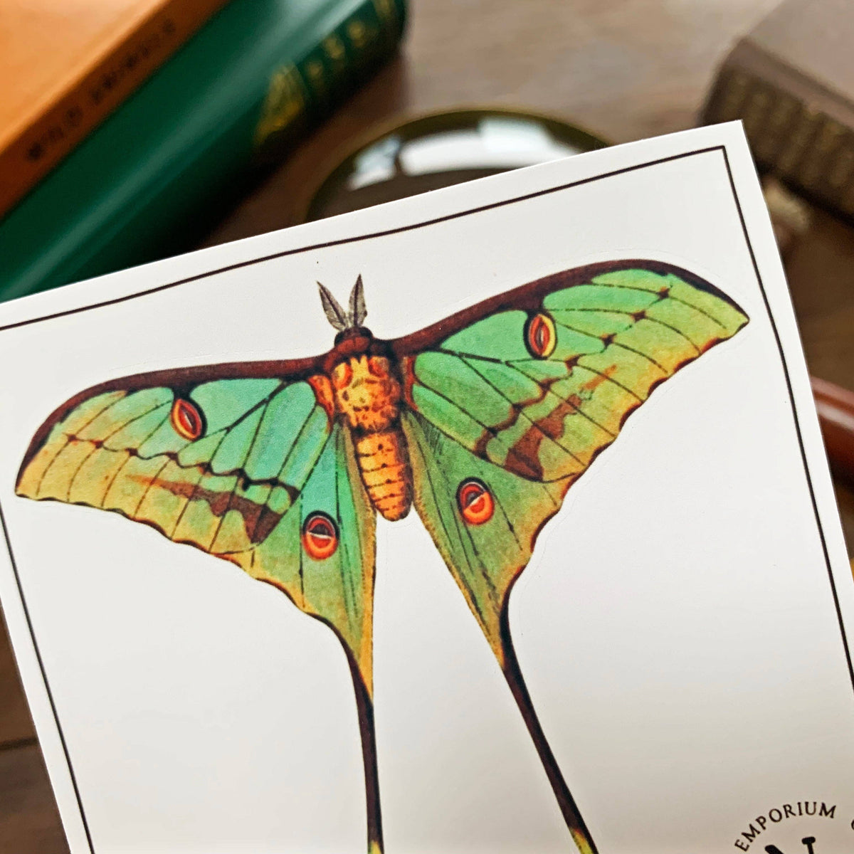 Luna Moth Sticker
