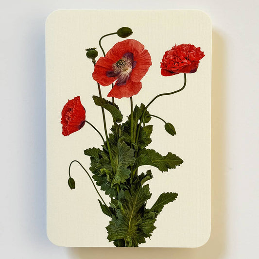 Wild Poppies Greeting Card