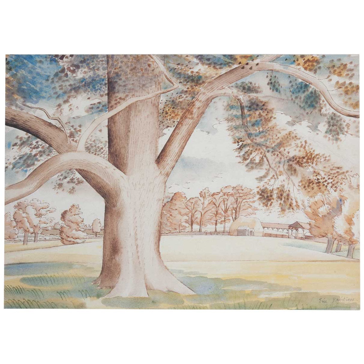 Field Elm - Greeting Card