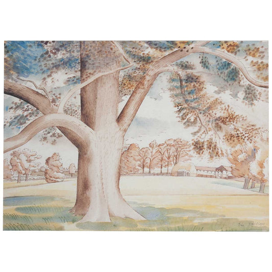 Field Elm - Greeting Card