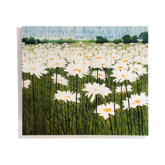 Daisy Phil Greenwood by Greeting Card