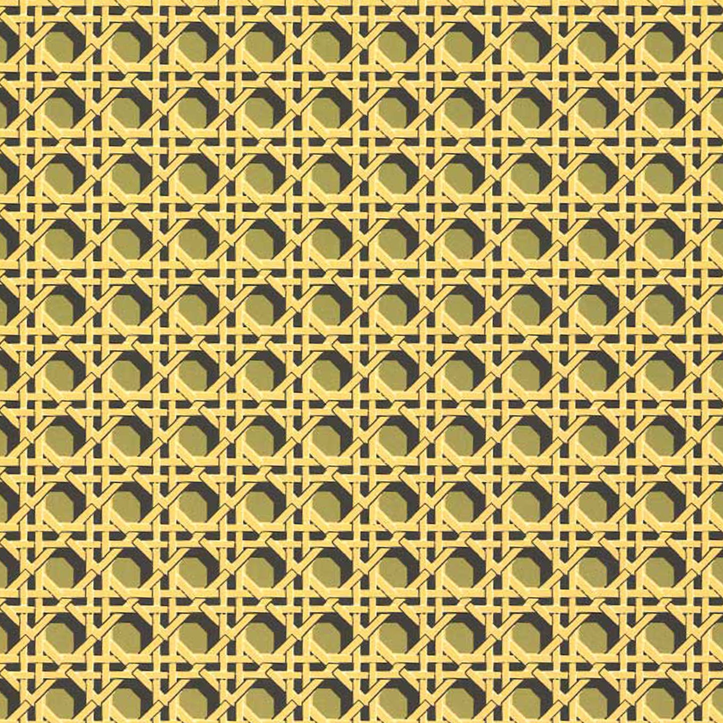 A4 Boxfile - Regency Caning Khaki