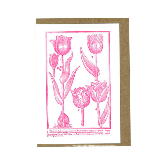 Tulips - Greeting Card