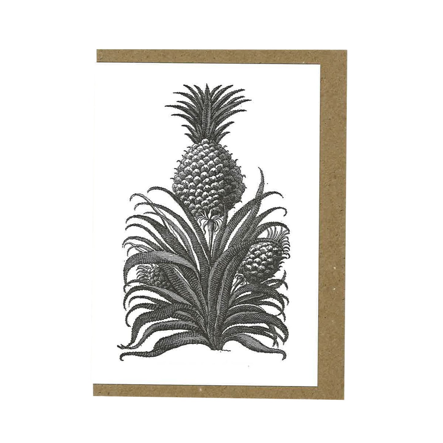 Pineapple - Greeting Card