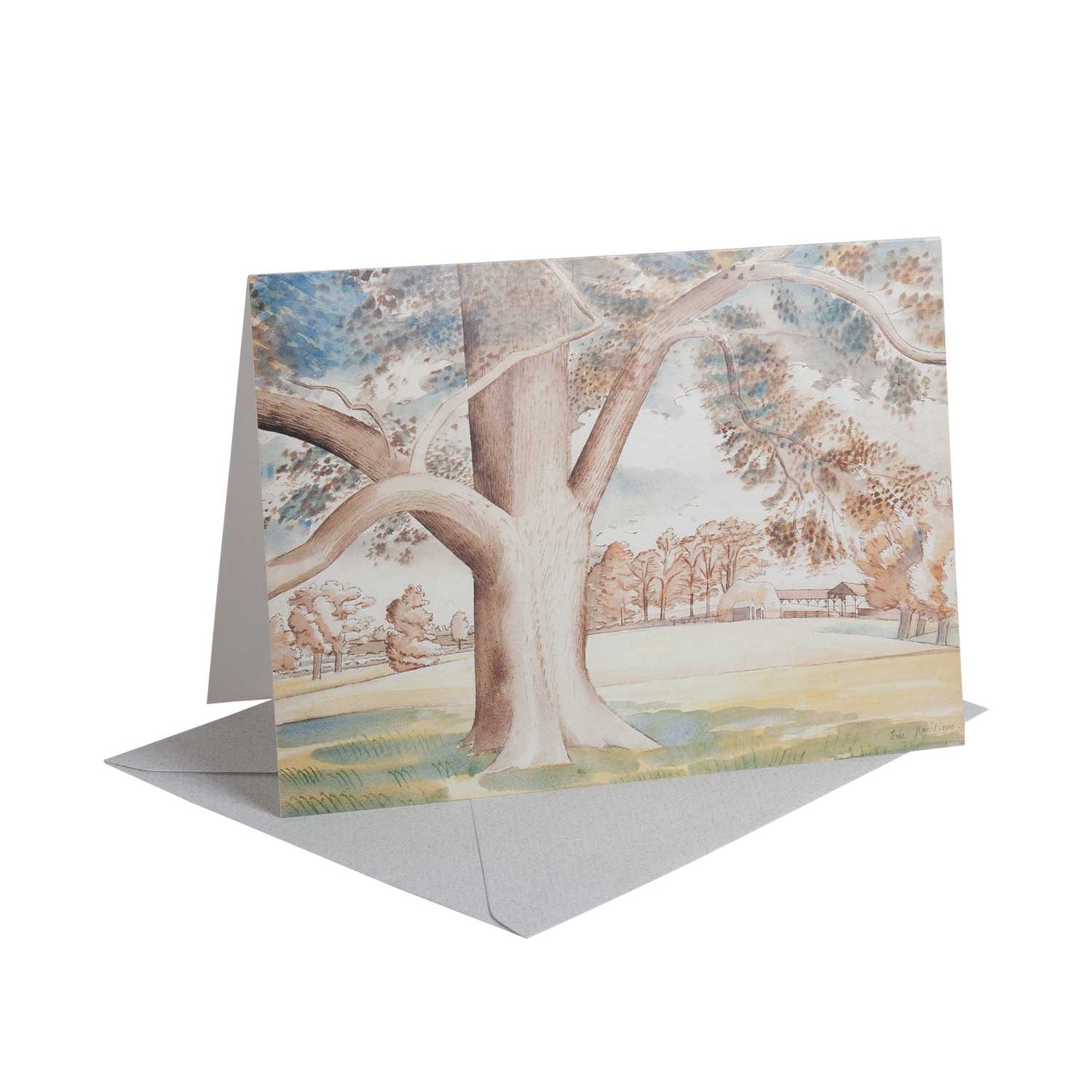 Field Elm - Greeting Card