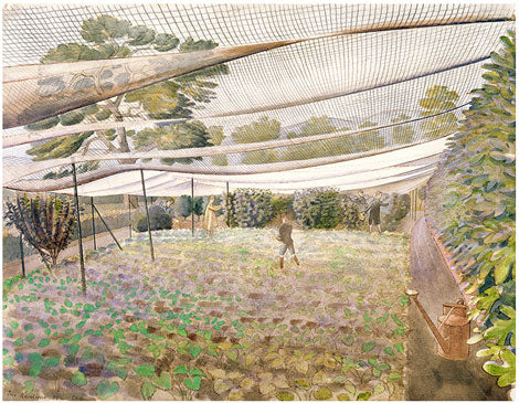 Strawberry Nets by Eric Ravilious