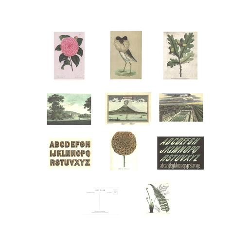 Flora, fauna, views & typography - pack of 10 assorted postcards