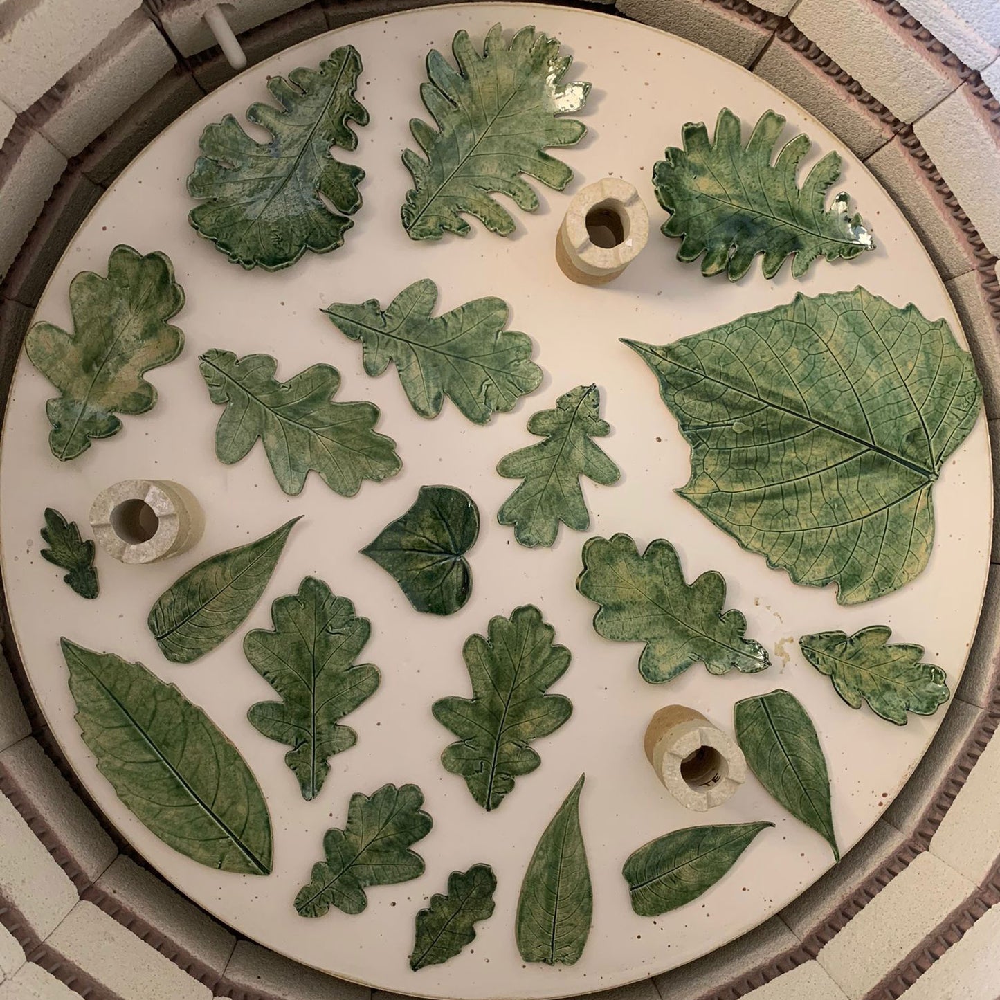 Medium pottery Oak Leaf