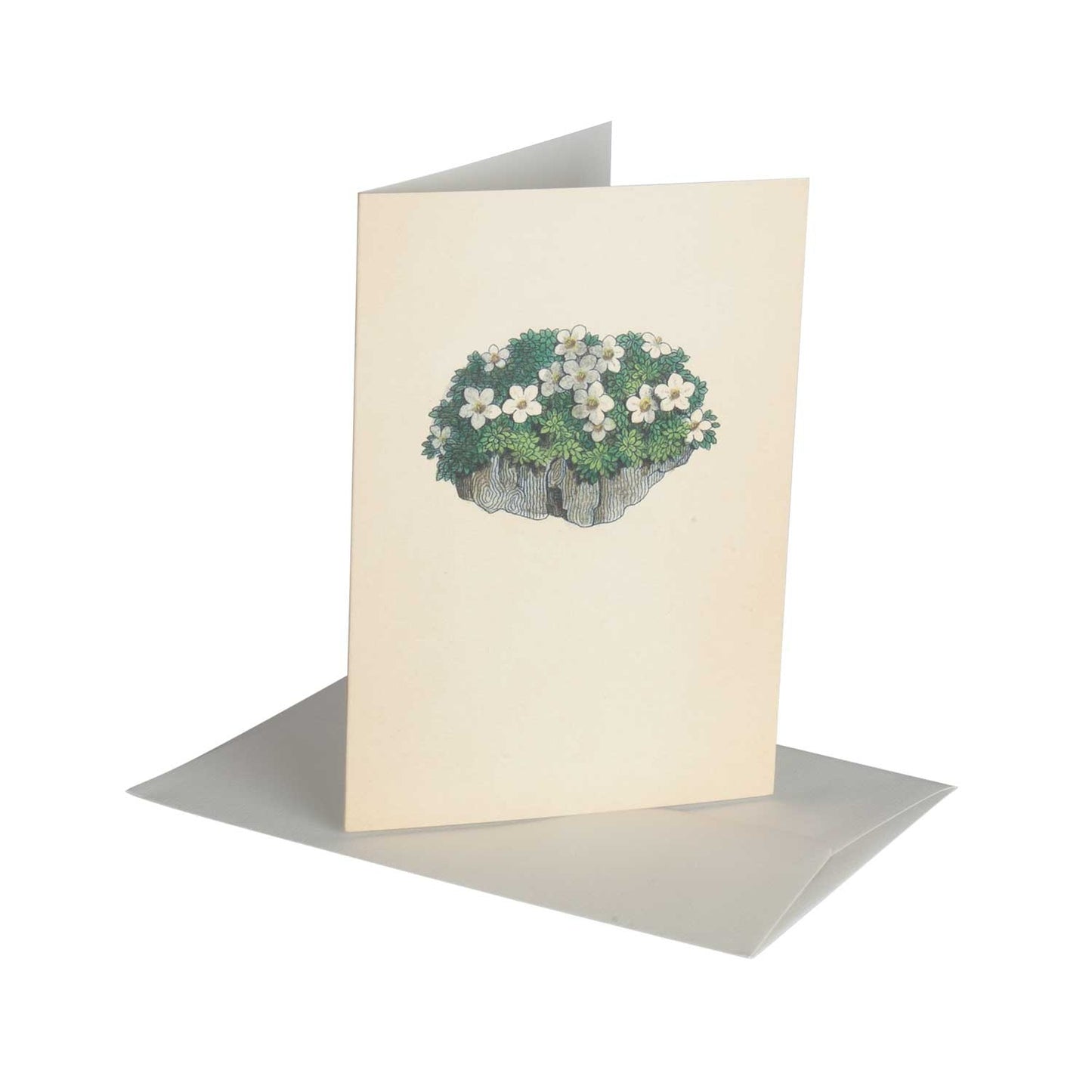 Rock Jasmine - Greeting Card
