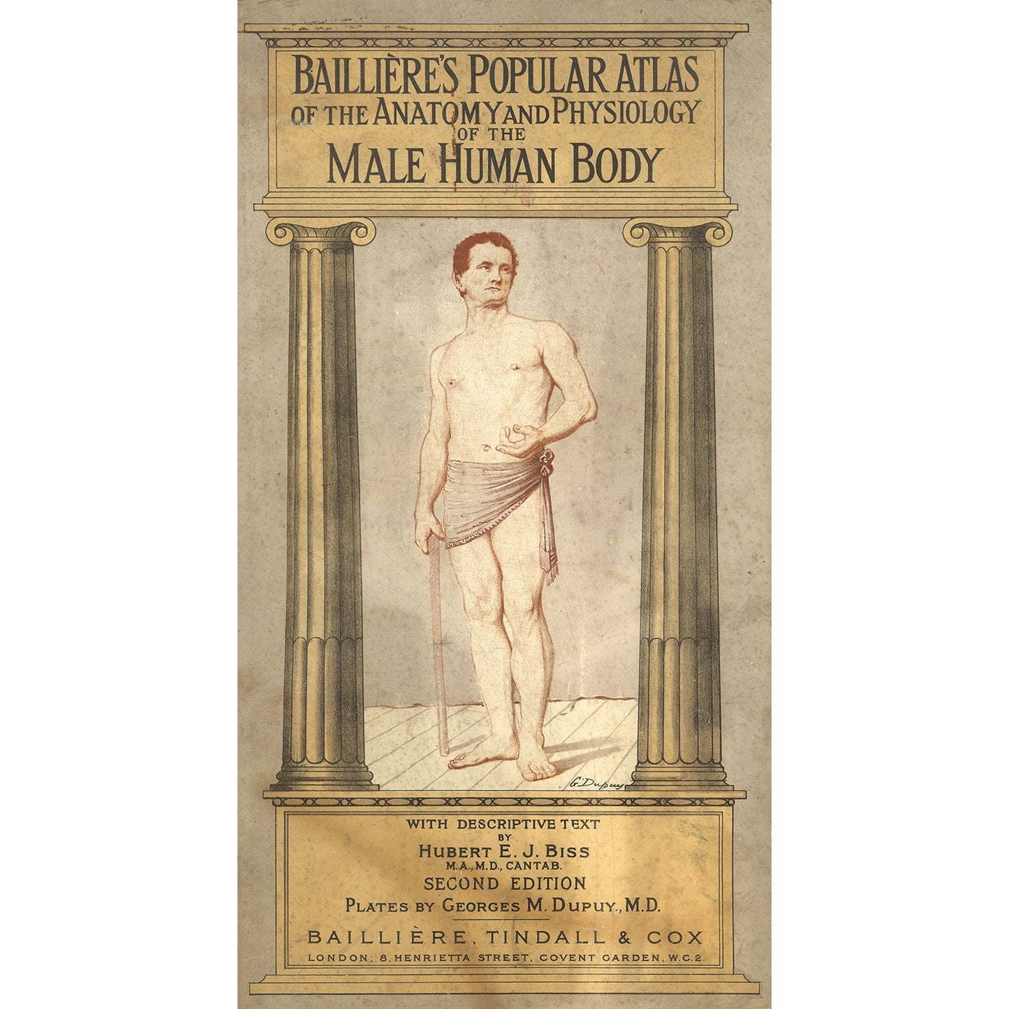 Cover of Baillieres Popular Atlas of the Anatomy and Physiology of the Male Human Body